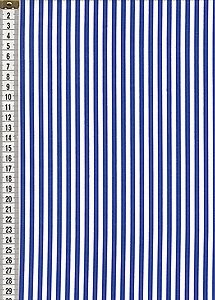73 Streifen blau
