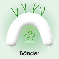 Verschlußart "Bänder"
